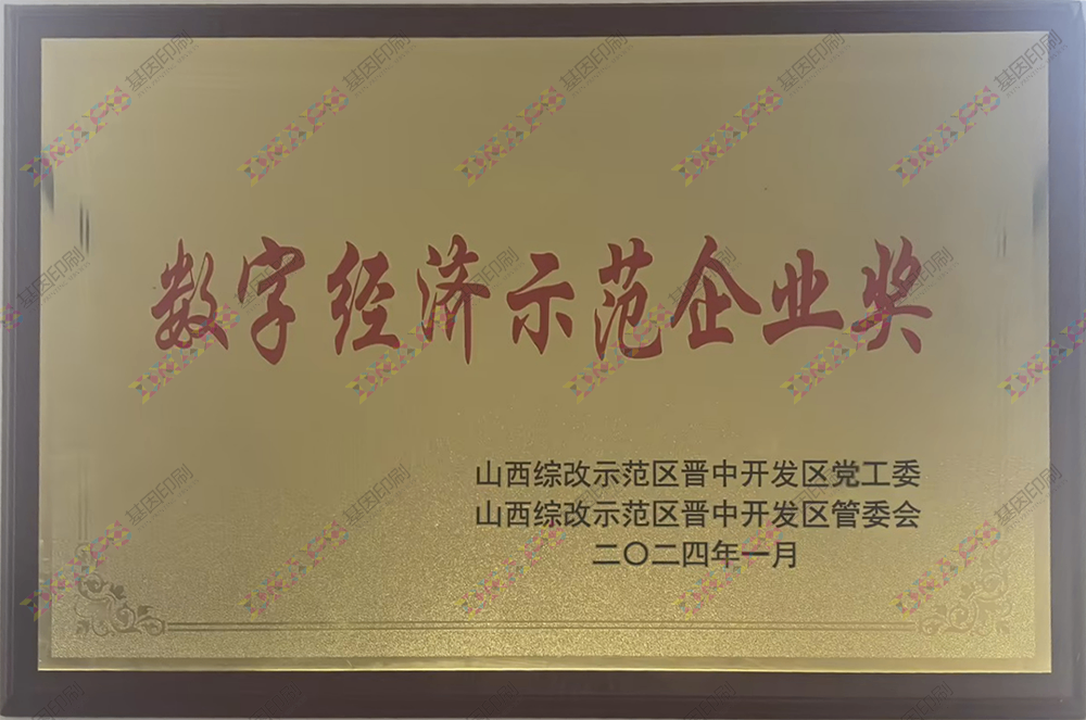 數(shù)字經(jīng)濟(jì)示范企業(yè)獎(jiǎng)